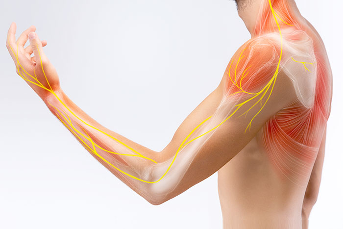 Regenerative Medicine for Elbows