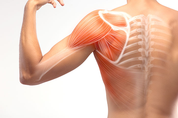 Regenerative Medicine for Shoulders